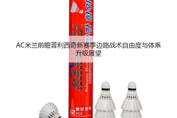 AC米兰前瞻普利西奇新赛季边路战术自由度与体系升级展望 - leyu